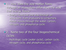 Biogeochemical Cycles 3