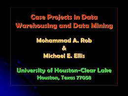 Data Warehouse Cases - UHCL MIS - University of Houston