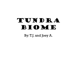 Tundra Biome - CharlotteRayTechEndorsement