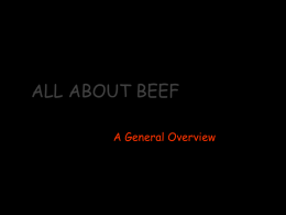 Quality of the Beef