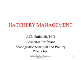 Hatchery Management