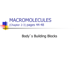 macromolecules - Ms. Green`s Class