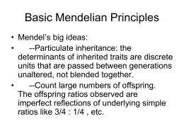 Basic Mendelian Principles