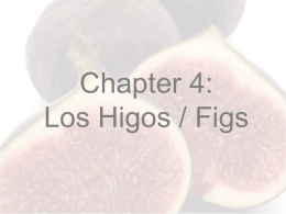 Chapter 3: “Las Papyayas/Papayas”