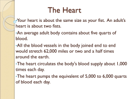 The Heart - ccbbiology