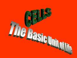 Cells the basic unit of life