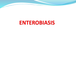 Enterobius vermicularis Oxyuris vermicularis (Pinworm, threadworm)