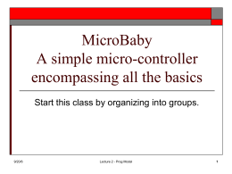 MicroBaby Architecture v1