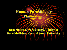 Human Parasitology Protozoology
