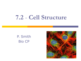 7.2 - Cell Structure - Office of Instructional Technology