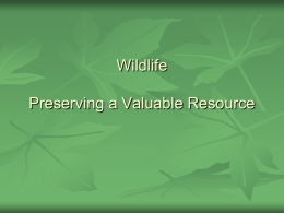 What are the national policies that impact wildlife