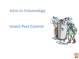 Insect-Pest-Control - Mid