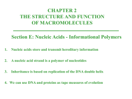 NucleicAcids