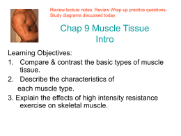 Chap 9 Muscle Tissue Intro