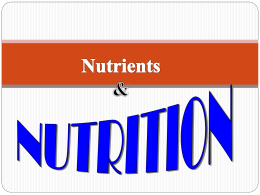 A nutrient is a chemical substance in food that helps maintain the