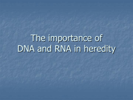 DNA and RNA - ISGROeducation
