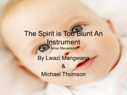 The Spirit is Too Blunt An Instrument final