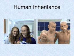 Human Inheritance