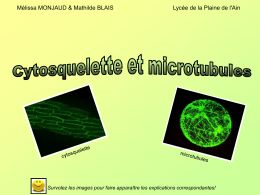 cyto et microtubules - Site perso mcavalla