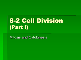 8-2 Cell Division (Part 2)