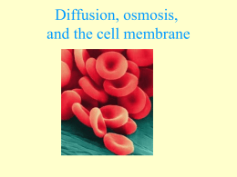 Diffusion and osmosis notes