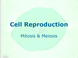 Cell Reproduction - Science