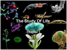 Unit 1 Part 1: Scientific Method and Characteristics of Life