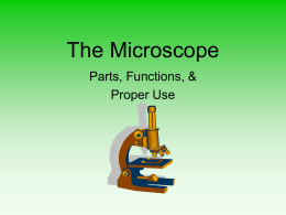 The Microscope - McSteiger MST