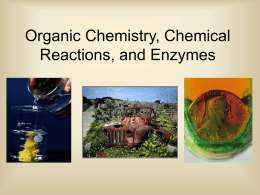 Chemical Reactions and Enzymes - Mr. Ashe`s Science Site