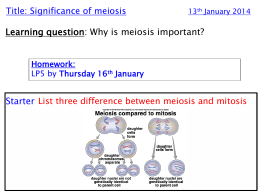 7. The significance of meiosis