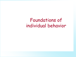 Foundations of individual behavior
