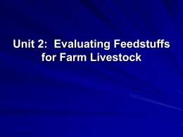 Evaluating Feedstuffs for Farm Livestock