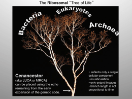 Horizontal gene transfer and microbial evolution: Is the Tree-of