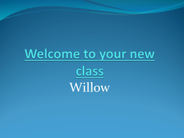 Willow 2013