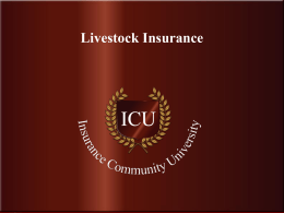 Auction Market Insurance - Insurance Community Center