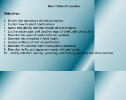 Beef Cattle Production Objectives: 1.