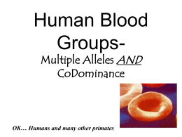 Human Blood Types- Multiple Alleles AND CoDominance