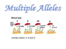 Multiple alleles ppt