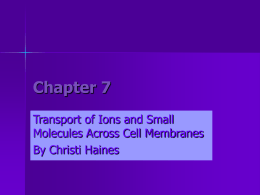 Chapter 7: Transport