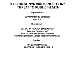 Chikungunya Virus Infection