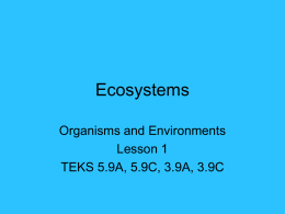 Ecosystems.pps