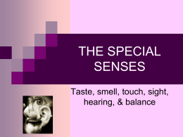 the special senses - Randolph Field ISD