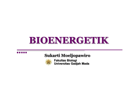 4. Bioenergetik