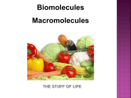 Biomolecule Notes