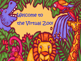 Welcome to the Virtual Zoo!