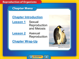 7th Grade Chapter 4 Reproduction of Organisms