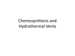 5.1-BIO-ENERGY-chemosynthesis.notes