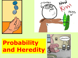 Probability and Genetics - Mahtomedi Middle School