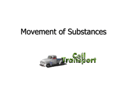 Movement of Substances - LC Biology 2012-2013