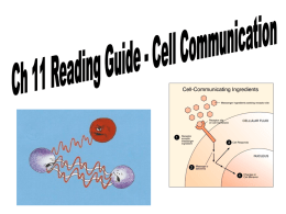 2) How do yeast cells communicate while mating?